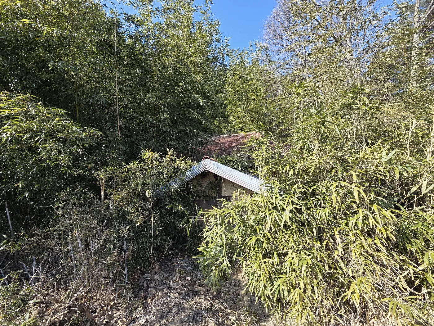 산지 철거 현장