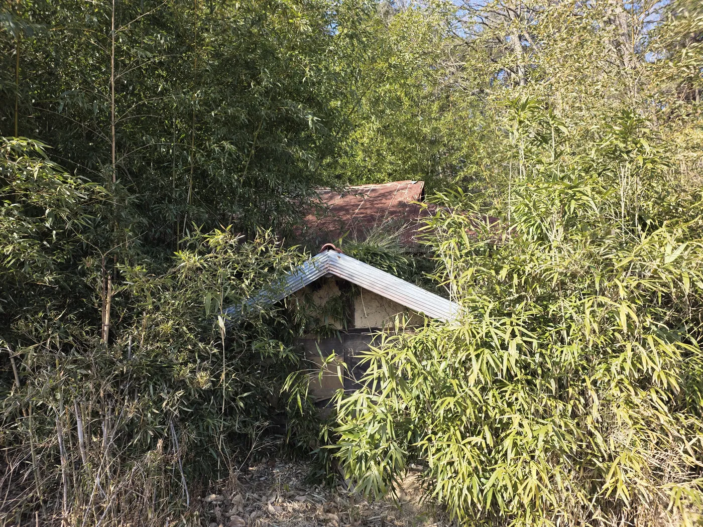 철거 현장